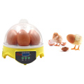7 Mini Home use Hatching Eggs Chicken Duck Pigeon Quail Automatic Egg Hatchery Machine Egg Incubator